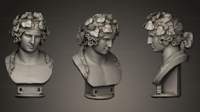 Бюсты и головы античные и исторические (Антиноидная головка с листьями, BUSTA_0240) 3D модель для ЧПУ станка